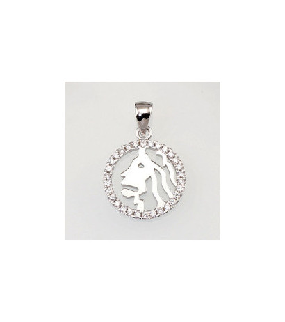 Sidabrinis pakabukas 2300387(PRh-Gr)_CZ, Sidabras 925°, rodis (padengti), Cirkonai