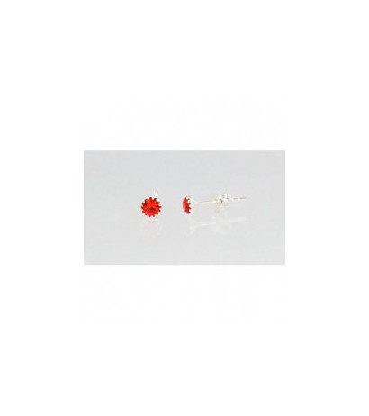 Sidabriniai auskarai –pusetai 2202664_CZ-R, Sidabras 925°, Cirkonai