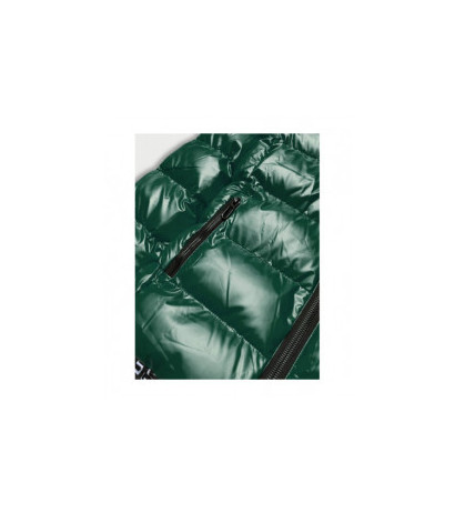 SPEED.A (xw808x) striukė