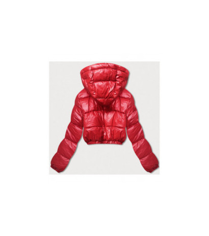 HONEY WINTER (d2-3831-16) striukė