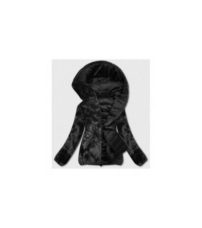 S'WEST (b8051-1) striukė