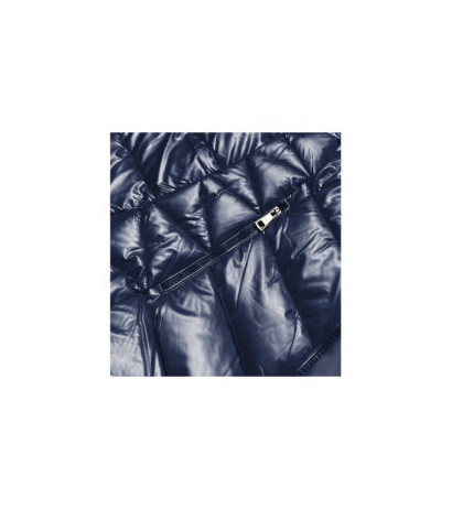 WINTER JACKET WITH MEMBRANE MINT (W182) striukė