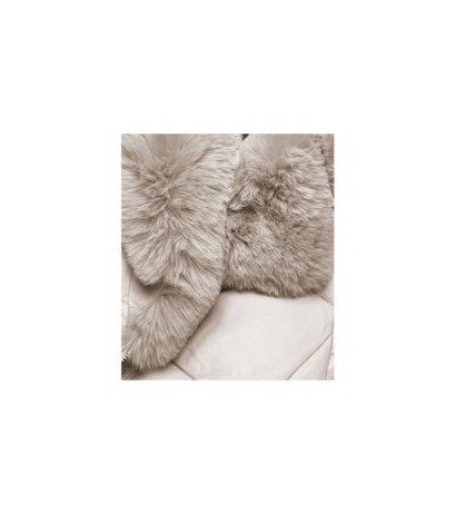 Ann Gissy (AG6-28) striukė