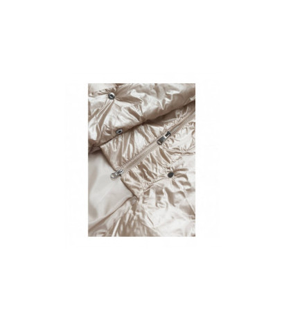 Ann Gissy (AG1-J9090) striukė