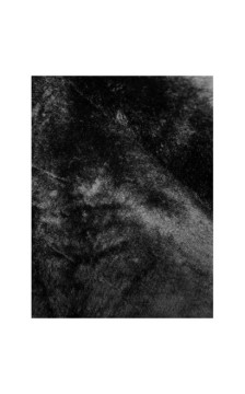 MELYA MELODY (V715) striukė