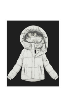 S'WEST (B2003-26) striukė