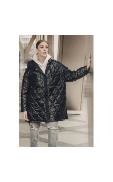 Ann Gissy (ag5-010) striukė