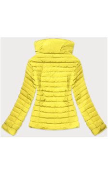 J STYLE (23063-3) striukė J STYLE (23063-3) striukė