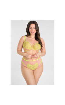 Gorsenia liemenėlė